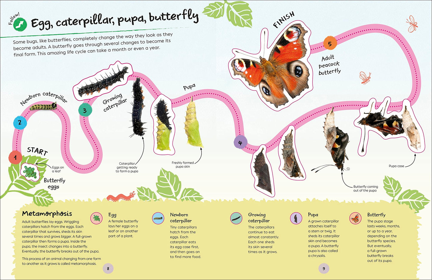 Ultimate Sticker Book: Garden Bugs