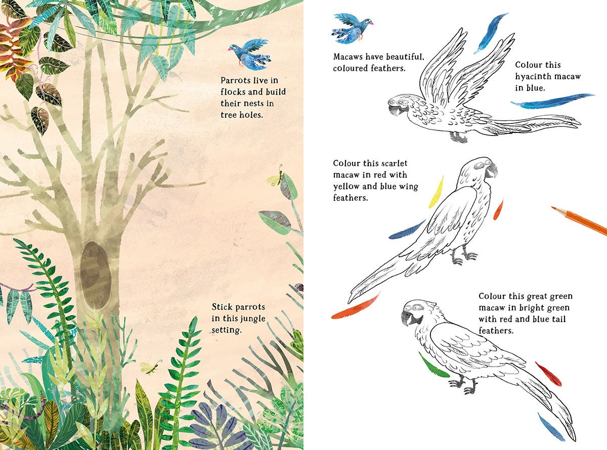 Big Sticker Book of Birds