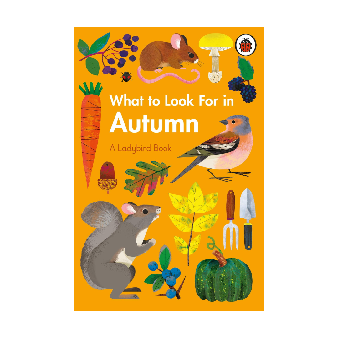 What To Look For In Autumn