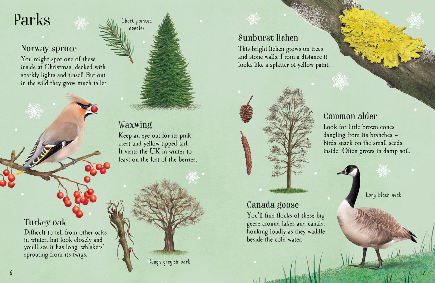 Things to Spot in Winter