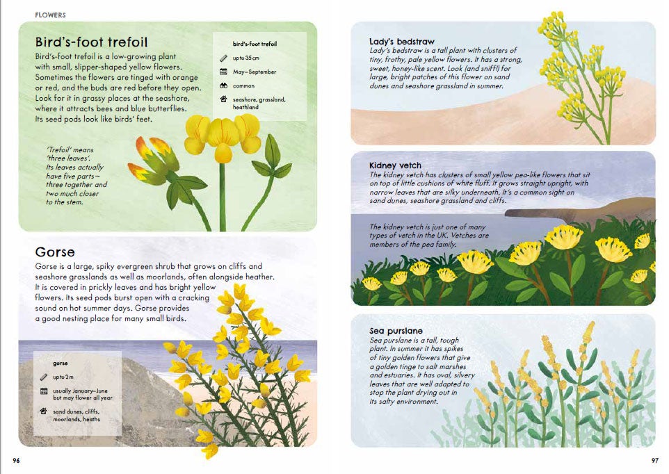 Nature Guide Seashore