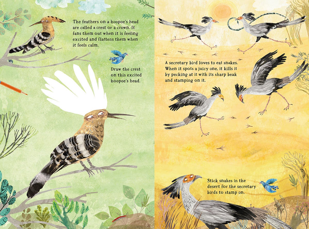 Big Sticker Book of Birds