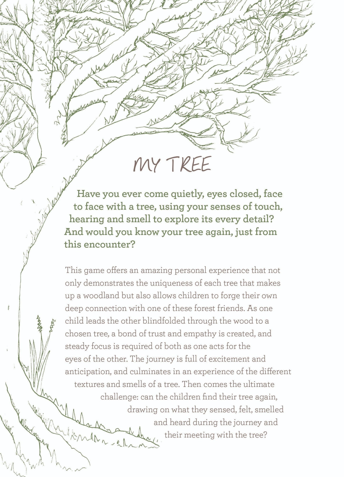 Play The Forest School Way