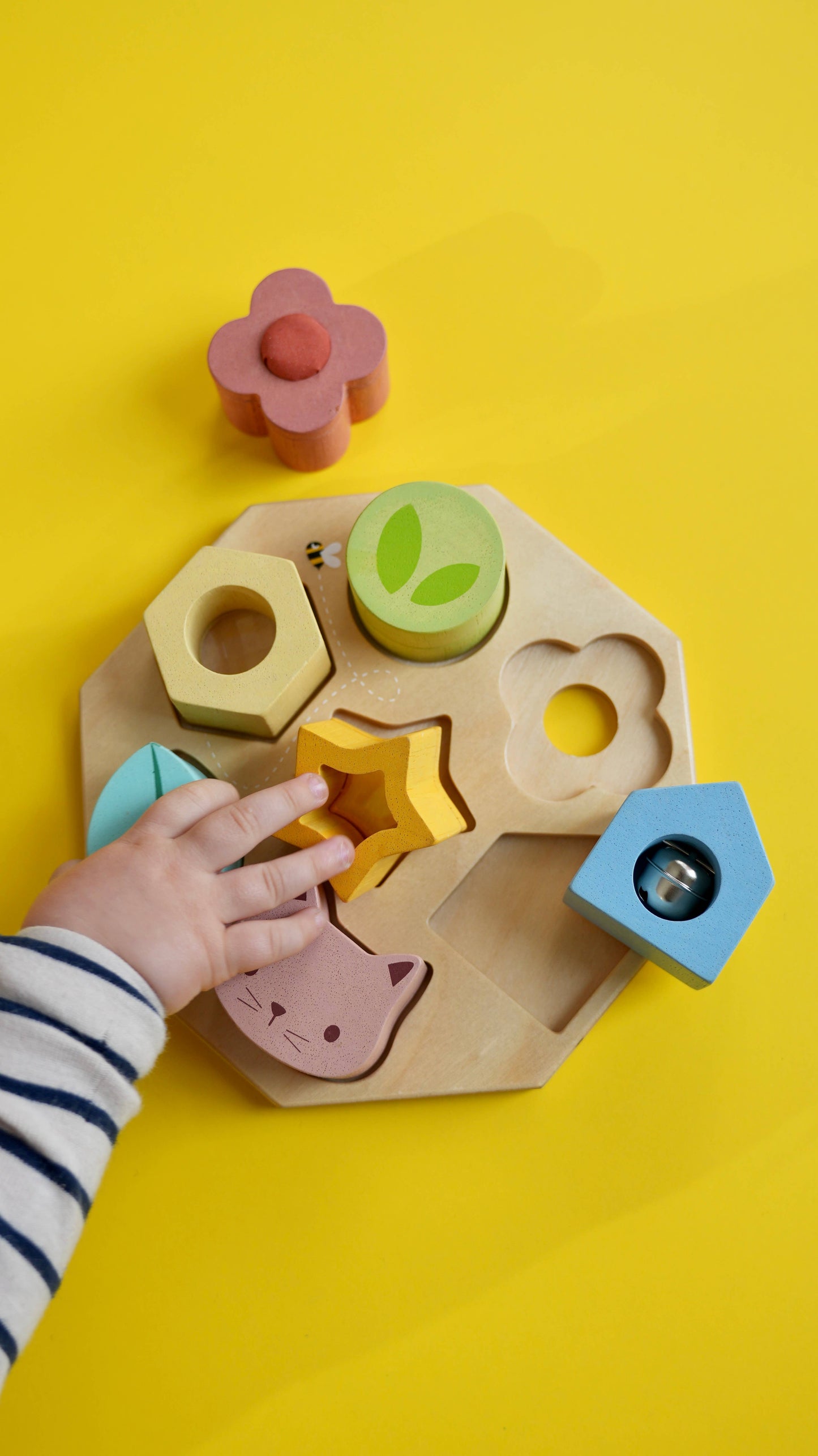 Sensory Activity Tray