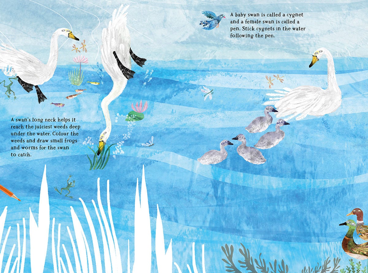 Big Sticker Book of Birds