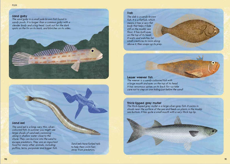 Nature Guide Seashore