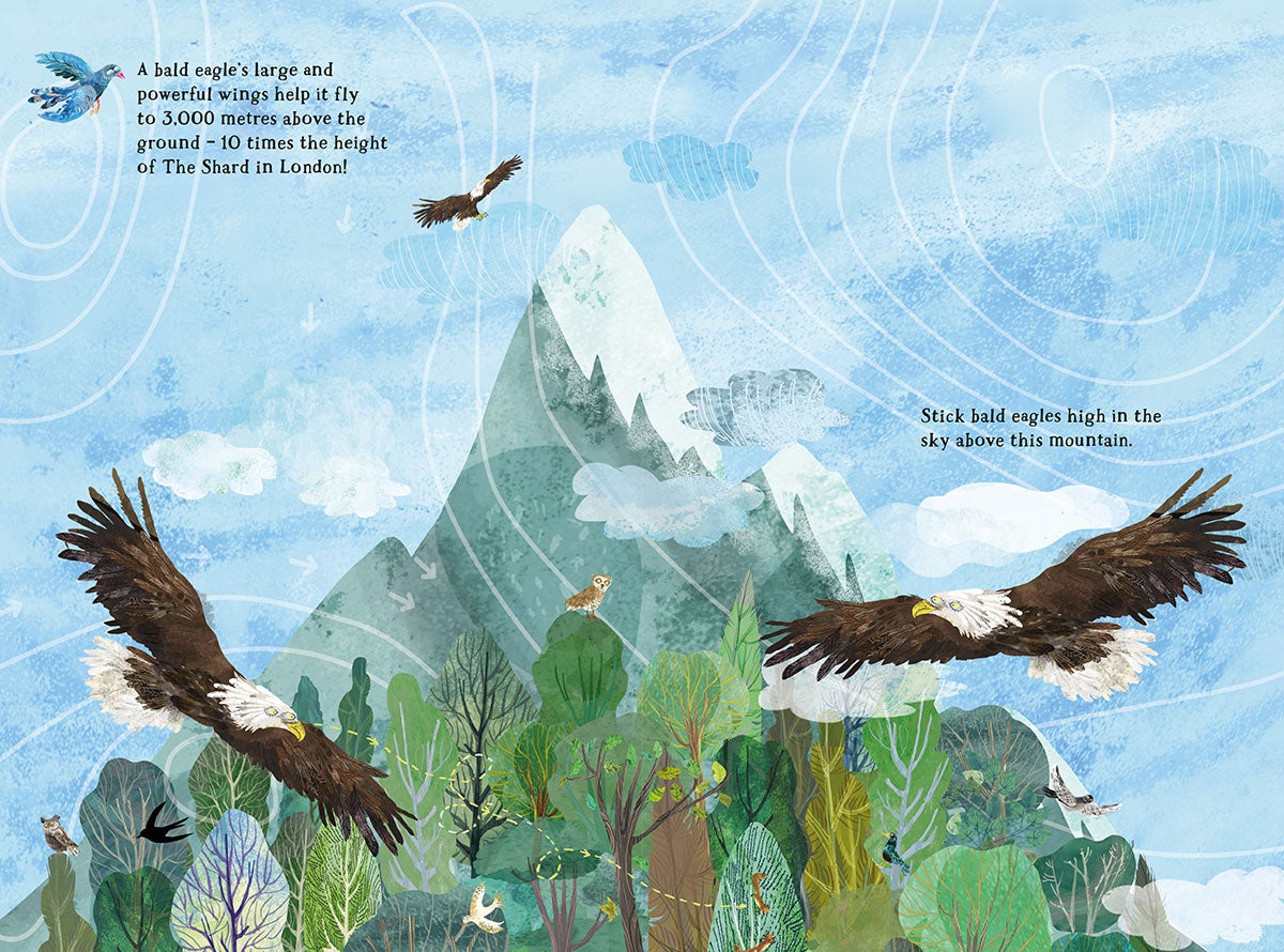 Big Sticker Book of Birds