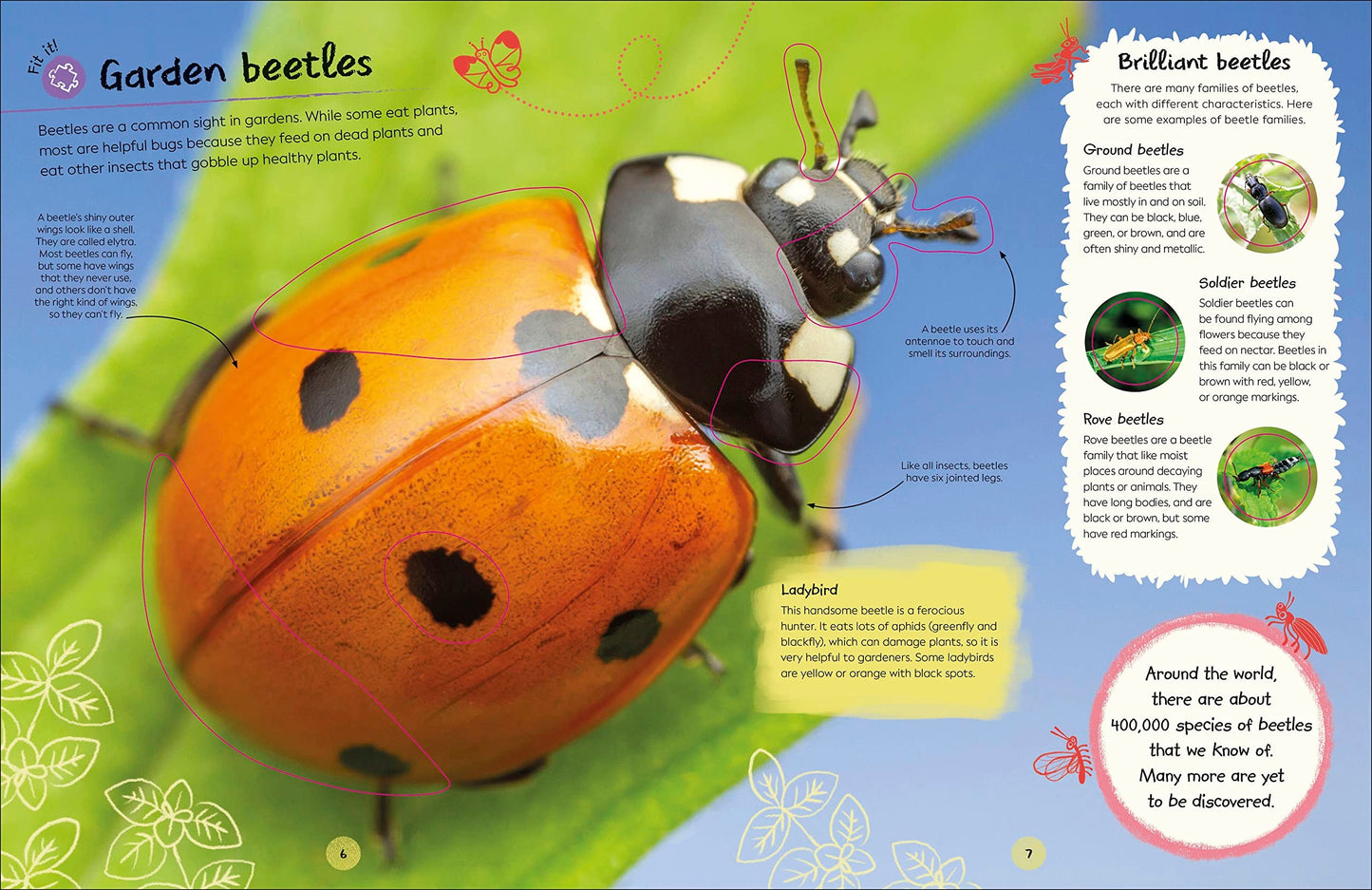 Ultimate Sticker Book: Garden Bugs