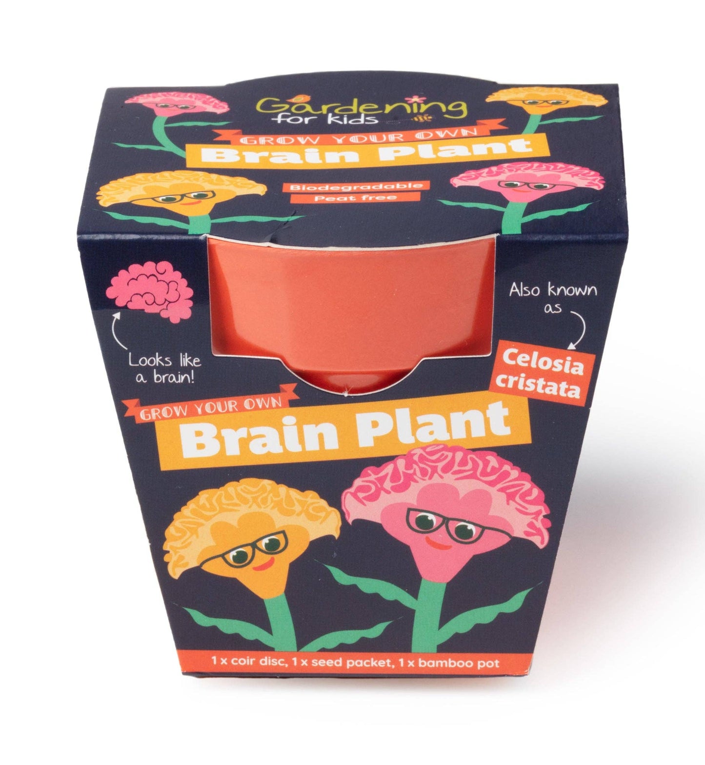 Gardening for Kids, Children's Growing Kit