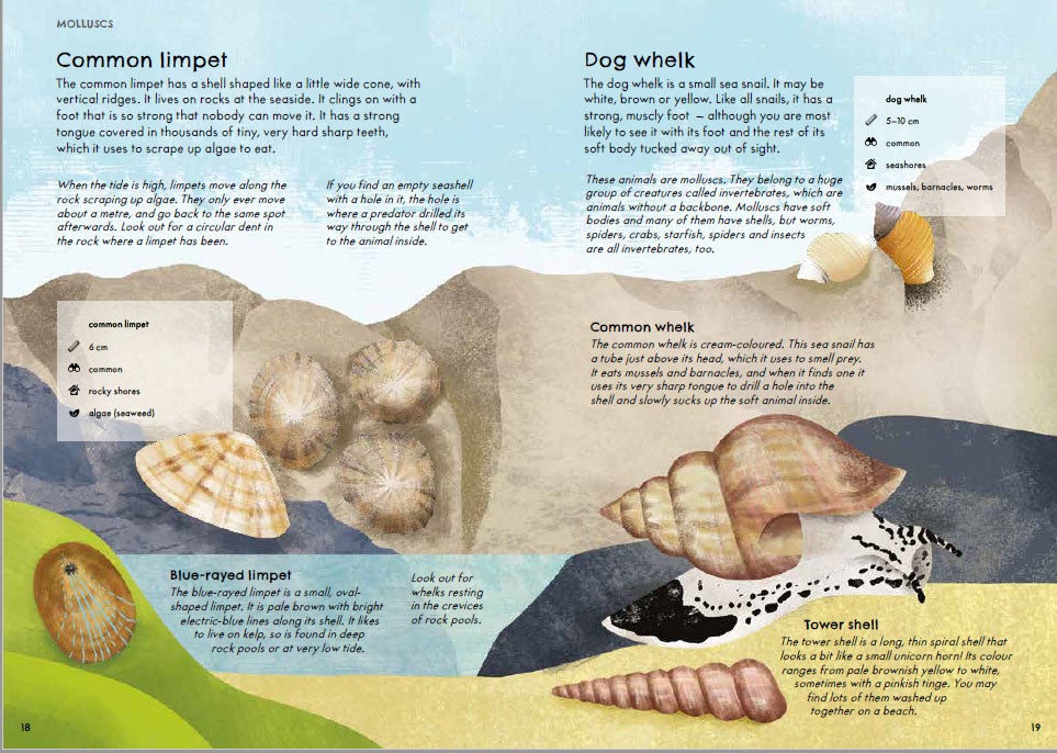 Nature Guide Seashore