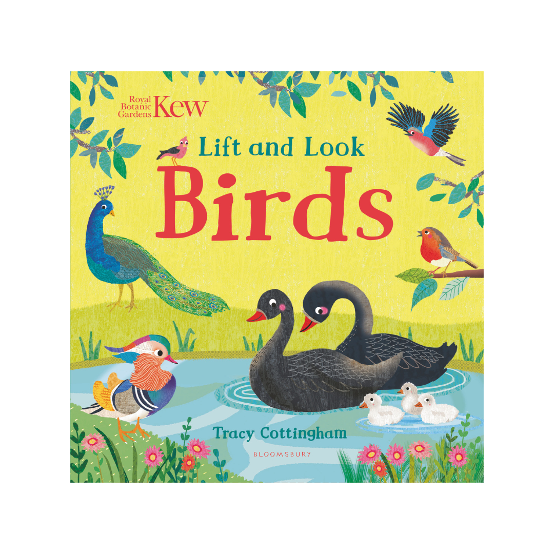Lift and Look: Birds