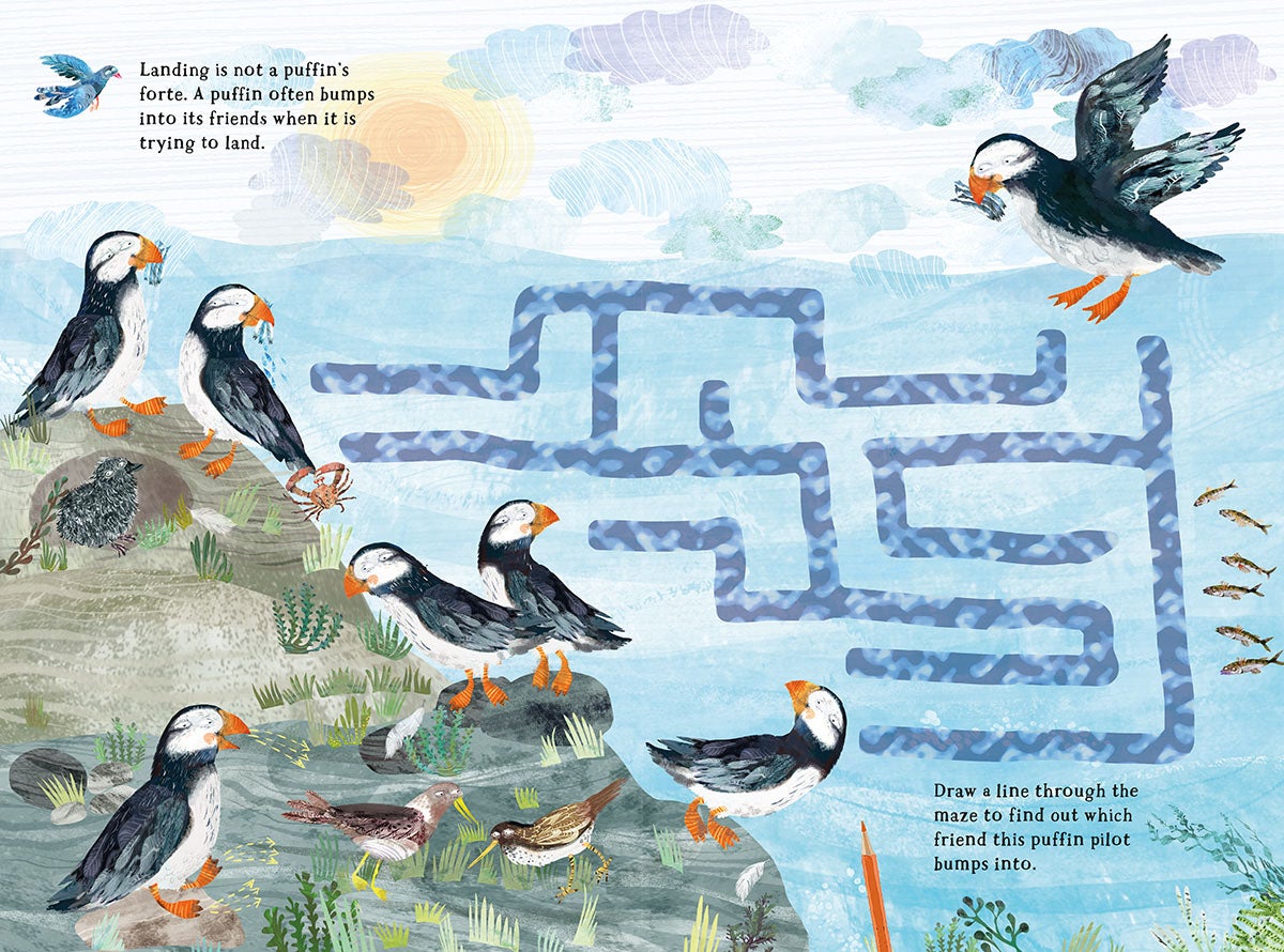 Big Sticker Book of Birds