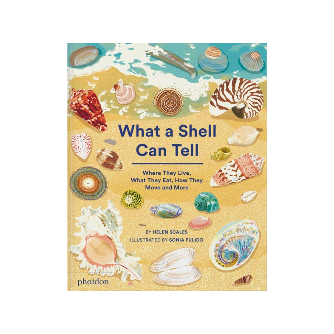 What a Shell Can Tell