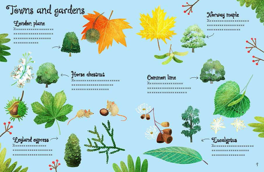 Usborne Minis: Trees To Spot