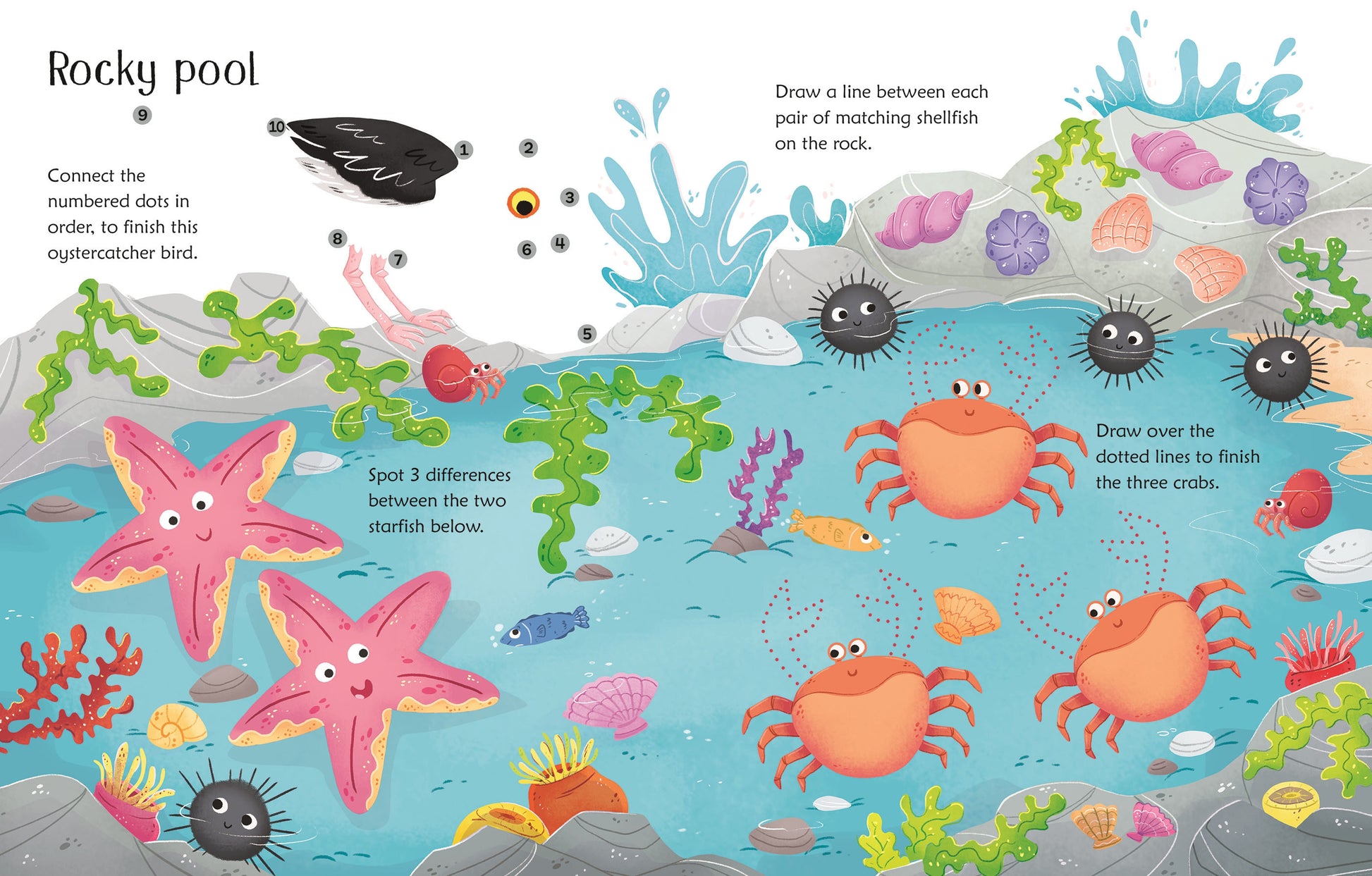 Wipe Clean Seashore Activities